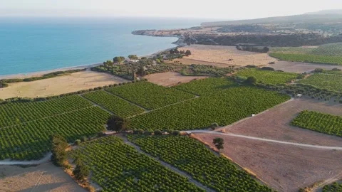 Panaramic view of Avdimou's fields and beach Stock Footage 135570089