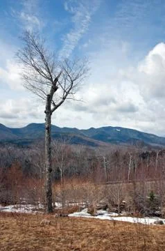 Panaramic view Stock Photos