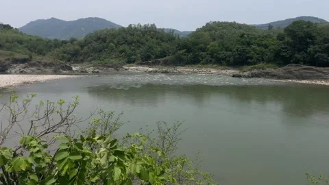Panaromic view of pond situated in the middle of pine covered forest of himc Stock Footage 340210025