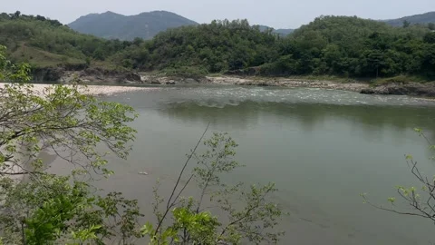 Panaromic view of pond situated in the middle of pine covered forest of himc Stock Footage 340210145