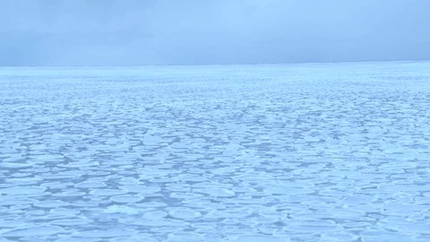 Pancake ice close-up Stock Footage 99612898