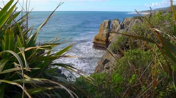 Pancake rocks at Paparoa Vídeo Stock 85492215