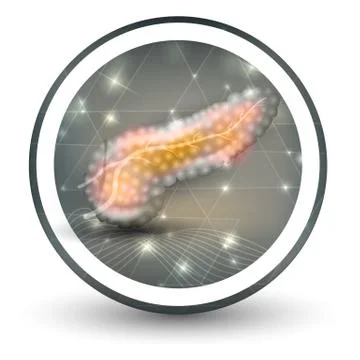 Pancreas icon Stock Illustration