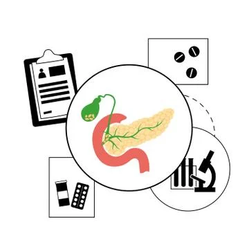 Pancreas logo concept Illustrazione stock