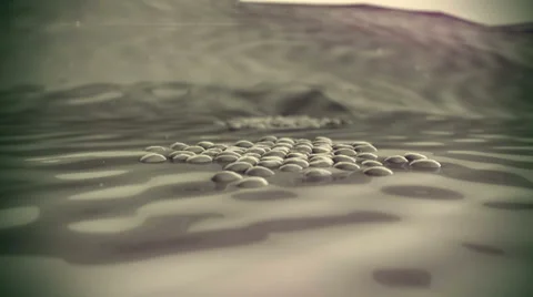 Pancreas, virus Vidéo 46337915