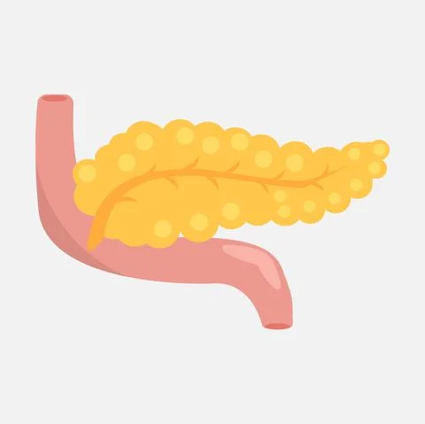 Pancreatic icon on a white background Stock Illustration