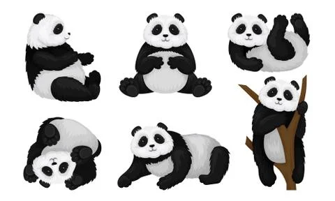 Panda Animal in Different Poses Vector Set. Bear Climbing the Tree and Turning Stock Illustration