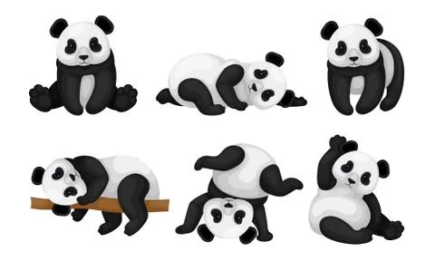 Panda Animal in Different Poses Vector Set. Bear Lying on the Tree and Turning Stock Illustration