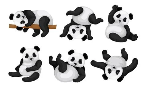 Panda Animal in Different Poses Vector Set. Bear Lying on the Tree and Turning Stock Illustration