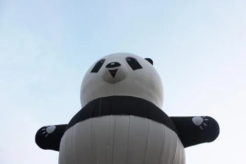 Panda Balloon Stock Photos