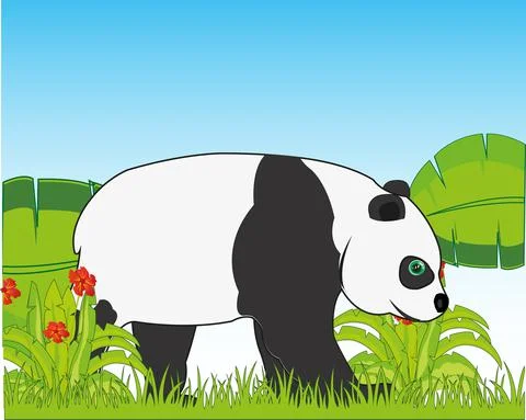 Panda bear on background of the year nature Stock Illustration