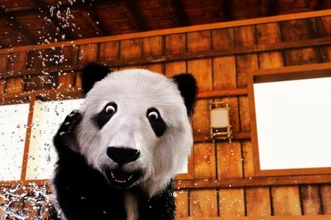 Panda bear in bath is surprised Stock Illustration