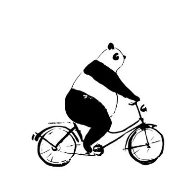 Panda bear on bicycle illustration Stock Illustration