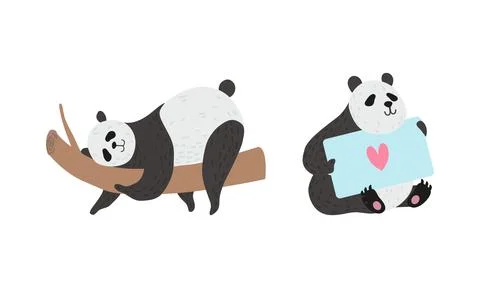 Panda Bear with Black-and-white Coat and Rotund Body Holding Card and Lying on Stock Illustration