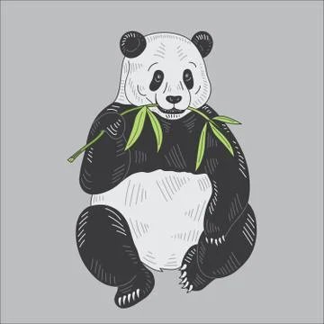 Panda Bear Illustration Stock Illustration