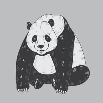 Panda Bear Illustration Stock Illustration