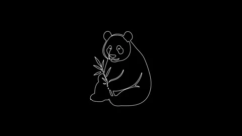Panda bear self drawing one line art ani... | Stock Video | Pond5