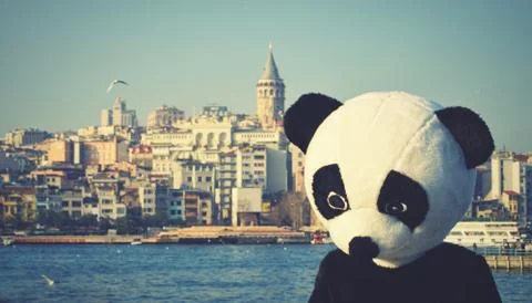 Panda blues Stock-Fotos