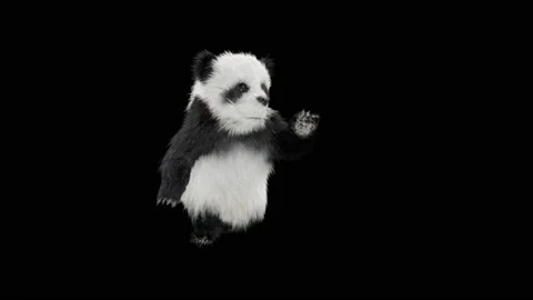 Panda dance , with Alpha matte. Stock Footage 134848221