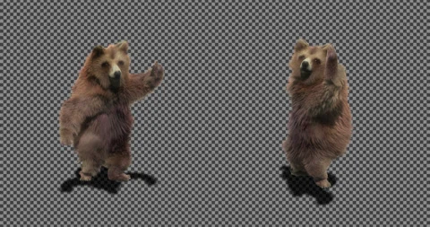 Panda dance , with Alpha matte. Video stock 136132779