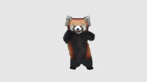 Panda dance , with Alpha matte. Stock Footage 340480187