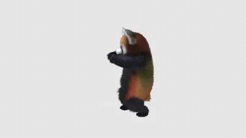 Panda dance , with Alpha matte. Stock Footage 340527988