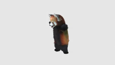 Panda dance , with Alpha matte. Stock Footage 342344267