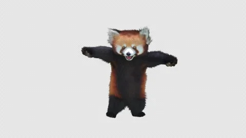 Panda dance , with Alpha matte. Stock Footage 342344293