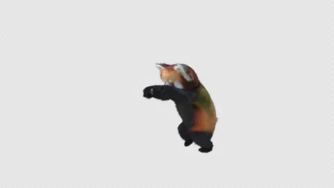 Panda dance , with Alpha matte. Stock Footage 344159728