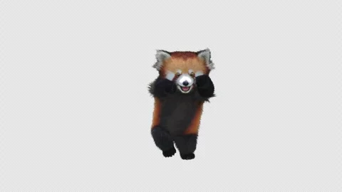 Panda dance , with Alpha matte. Stock Footage 344159756