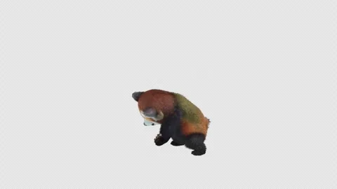 Panda dance , with Alpha matte. Stock Footage 344439359