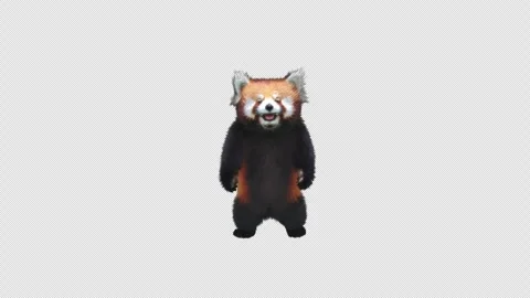 Panda dance , with Alpha matte. Stock Footage 344990041