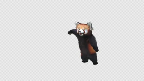 Panda dance , with Alpha matte. Stock Footage 345523072