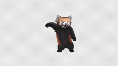Panda dance , with Alpha matte. Stock Footage 345523074