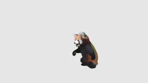 Panda dance , with Alpha matte. Stockbeeldmateriaal 345670229
