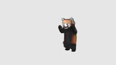 Panda dance , with Alpha matte. Видео 345894788