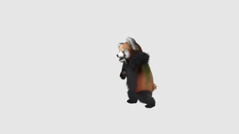 Panda dance , with Alpha matte. Stock Footage 346174588