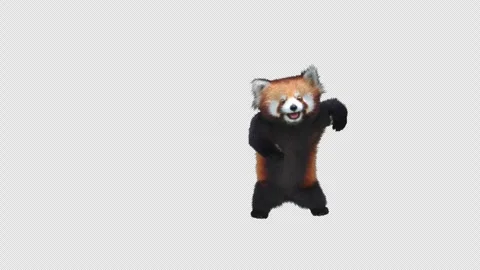 Panda dance , with Alpha matte. Stock Footage 346174594