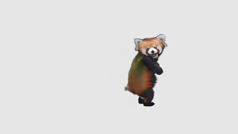 Panda dance , with Alpha matte. Stock Footage 346307789