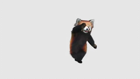 Panda dance , with Alpha matte. Stock Footage 346634823