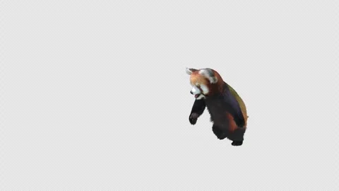 Panda dance , with Alpha matte. Stock Footage 346970405
