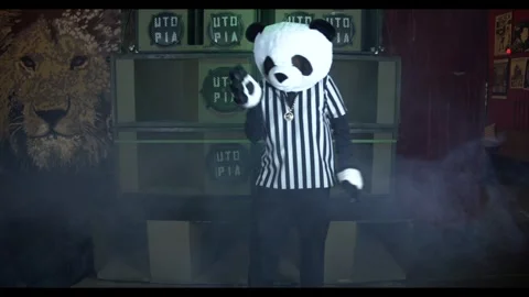 Panda dancer Stock Footage 296546675