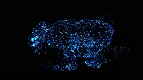 Panda Stockbeeldmateriaal 234378583