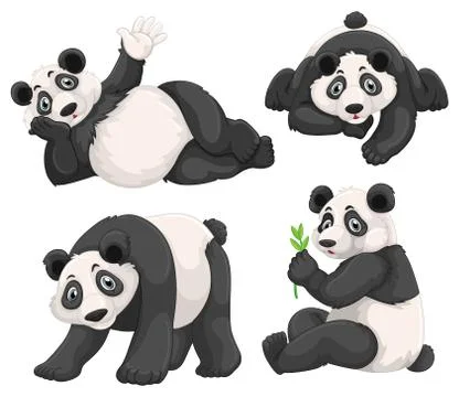 Panda in four different poses Stock Illustration