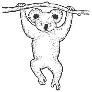 Panda hangs on the tree. Sketch scratch board imitation. Black and white. Stock Illustration