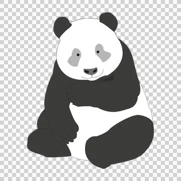 Panda Stock Illustration