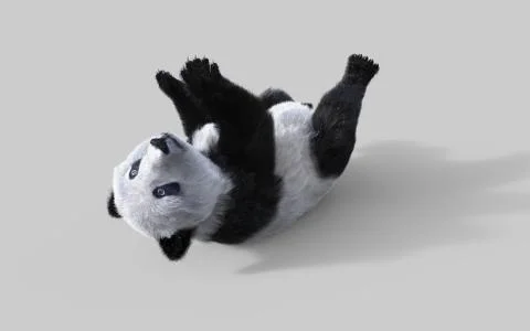 Panda isolated on white background with clipping path Stock Illustration