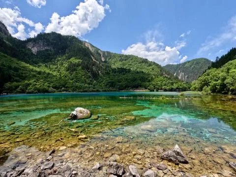 Panda Lake Stock Photos