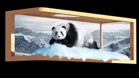 Panda Lying on Ice Breaking Through Screen 3D Naked-Eye Snow Mountain Background 動画素材 331925506
