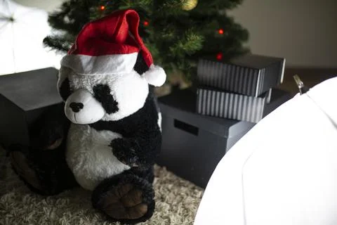 Panda plush in Santa hat sitting by Christmas tree with gift boxes Stock Photos